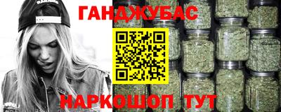мяу мяу мука Аргун