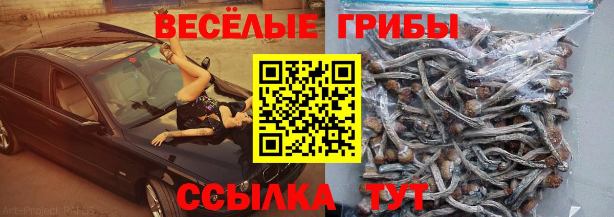 Борисоглебск  Галлюциногенные грибы GOLDEN TEACHER  Вход с VPN  Галлюциногенные грибы Magic Shrooms 