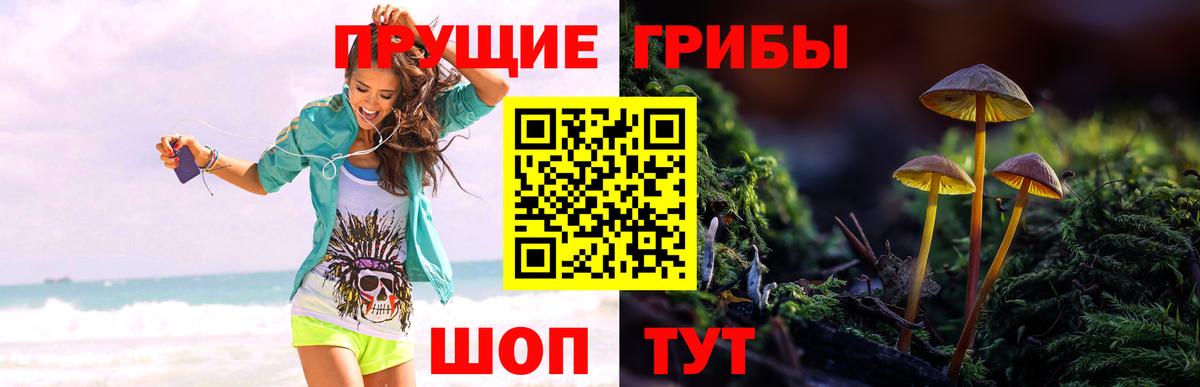 Псилоцибиновые грибы Psilocybine cubensis Борисоглебск